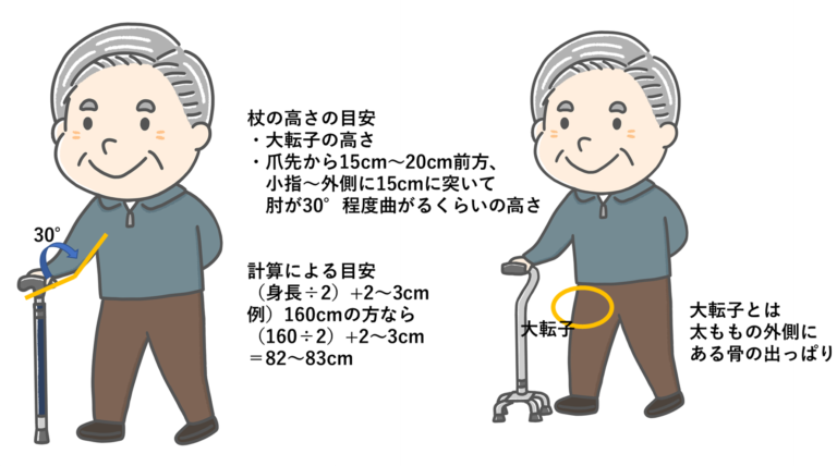 歩行補助具のメリットやデメリットは？適切なものを提供していきましょう | rehabili days(リハビリデイズ)